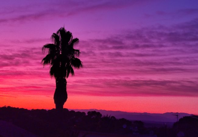 Villa in Pals - Villa Vuelta Villa in Pals - Villa Vuelta