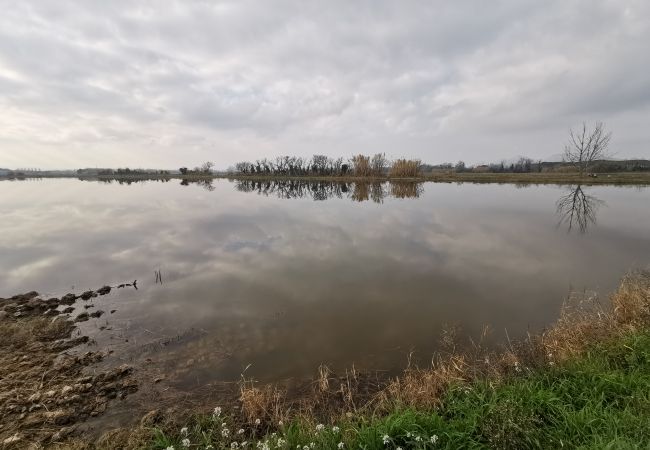 Villa in Pals - Villa Vuelta Villa in Pals - Villa Vuelta